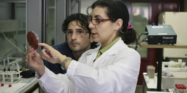 Studenti in laboratorio